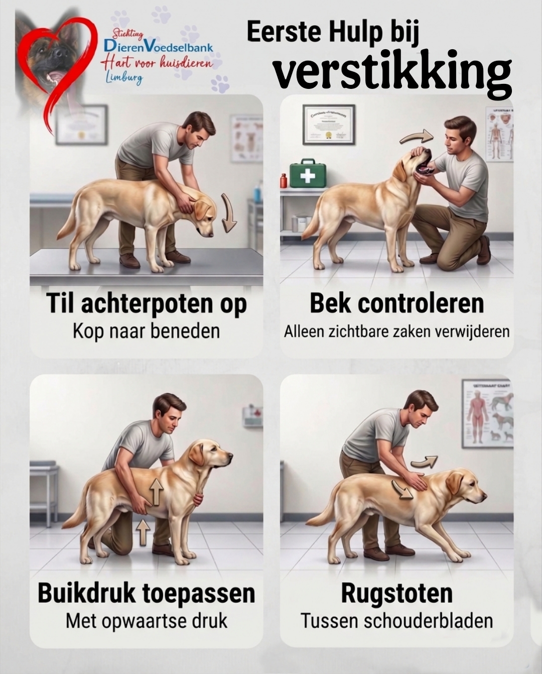 Je hond verstikt zich, en wat nu?