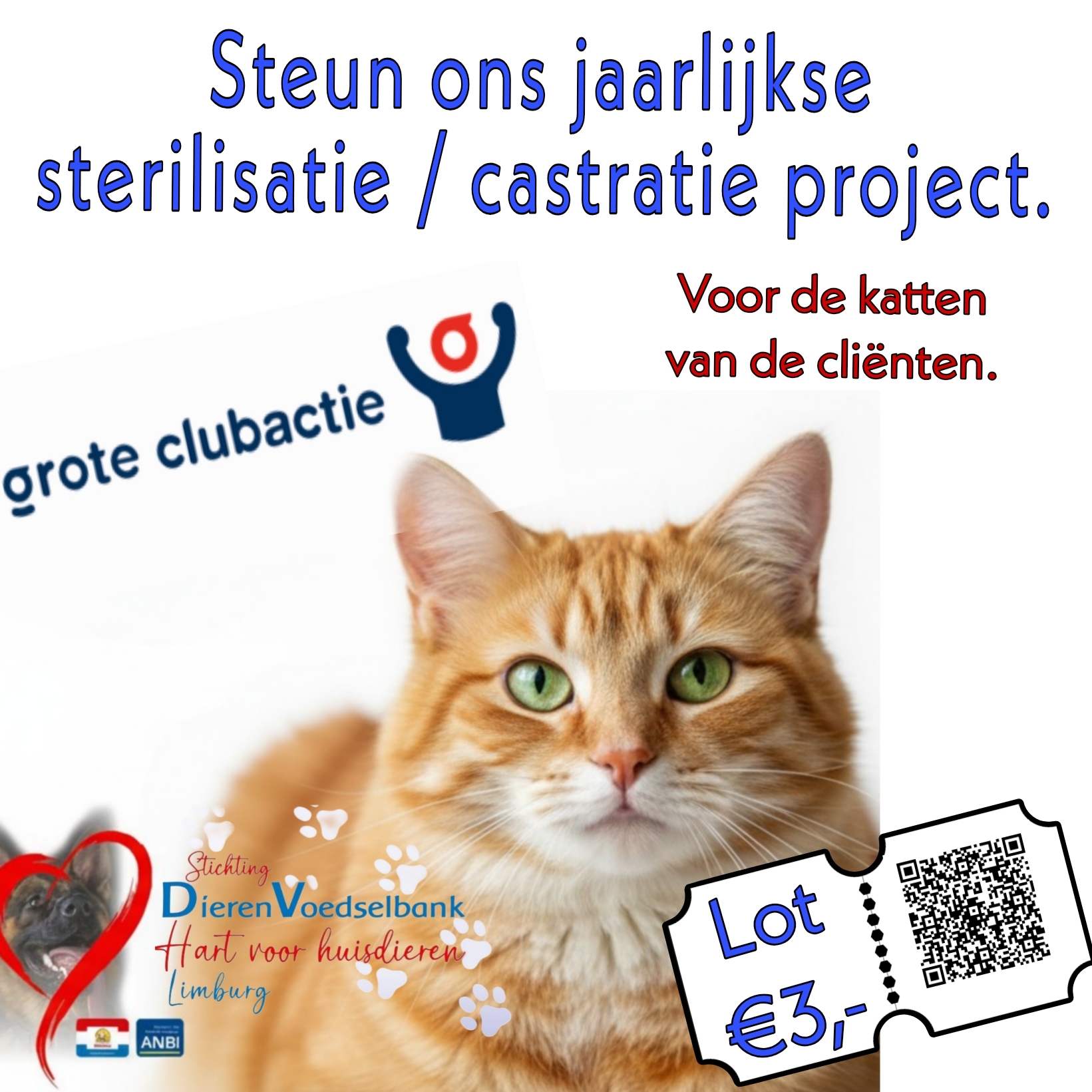 GROTE CLUBACTIE 2025