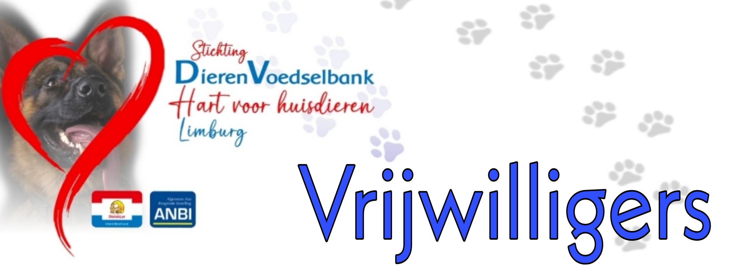 Vrijwilliger worden?