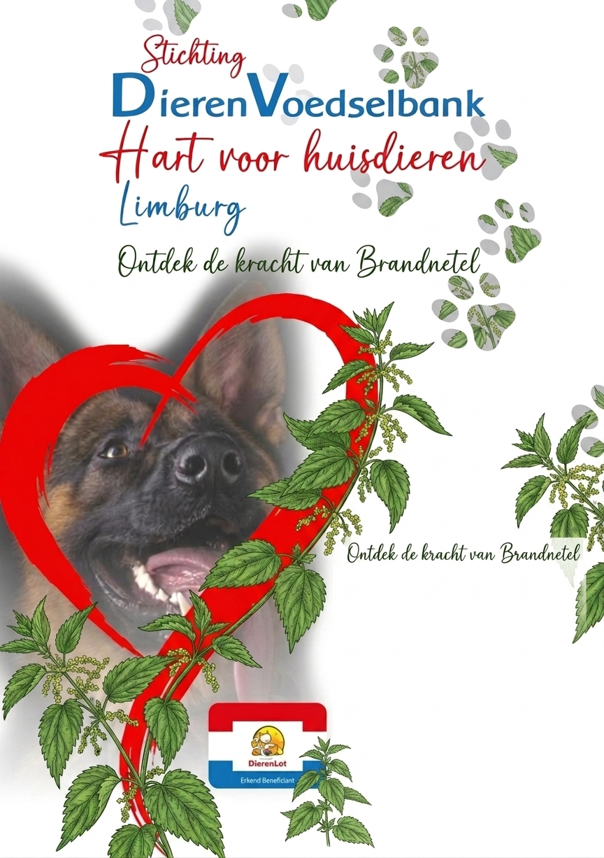 Moedernatuur weetje brandnetel