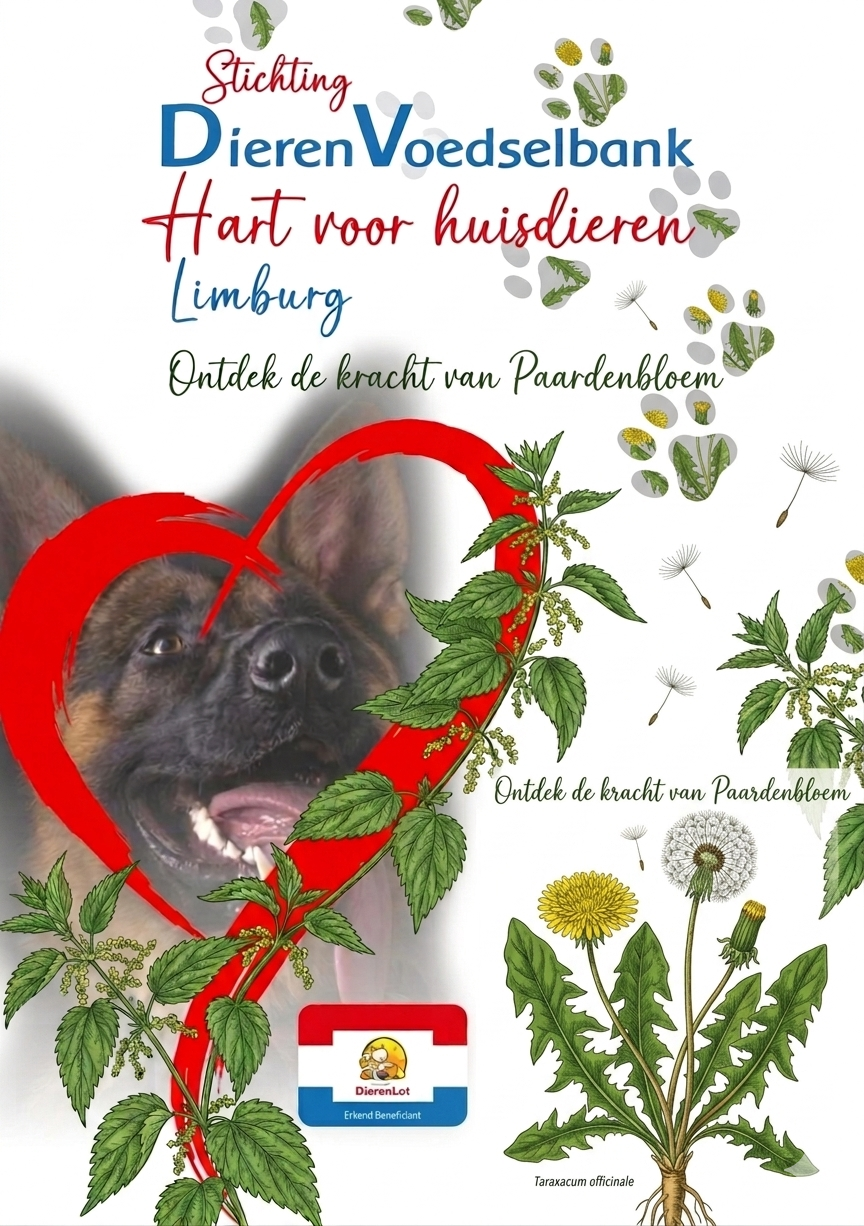 Moedernatuur weetje paardebloemen