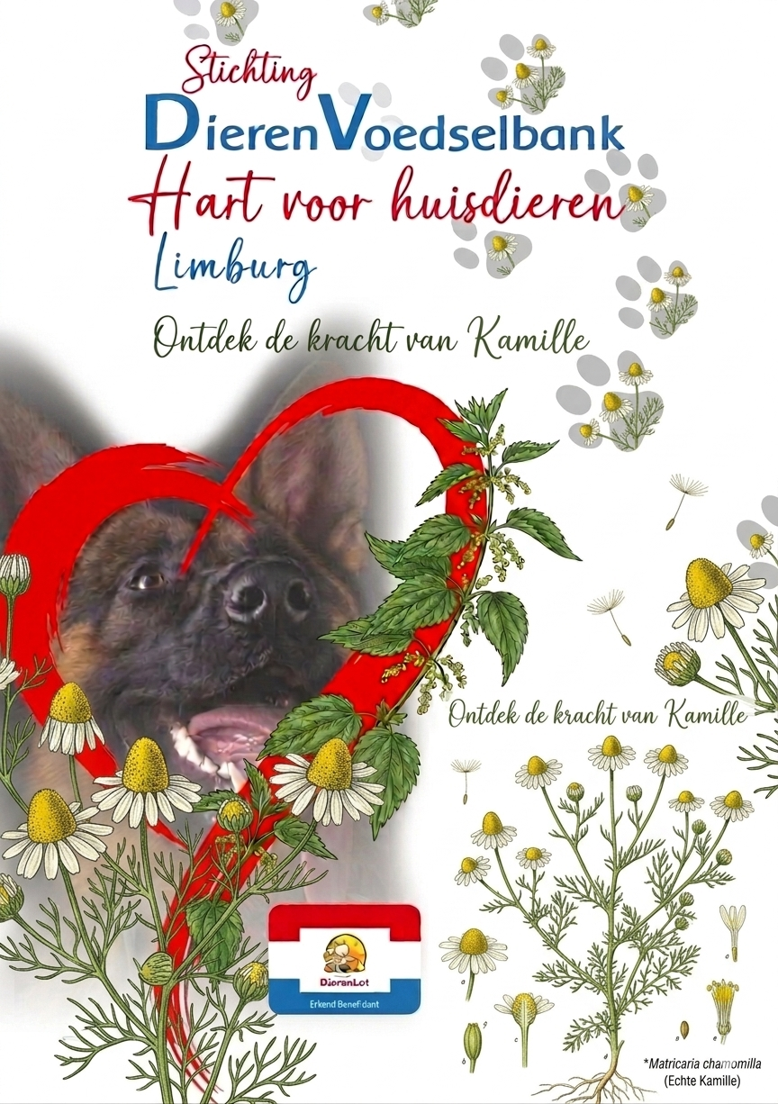 Moedernatuur weetje kamille