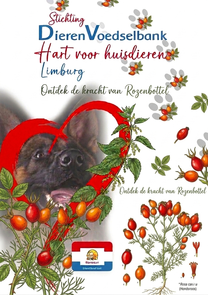 Moedernatuur weetje Rozenbottel