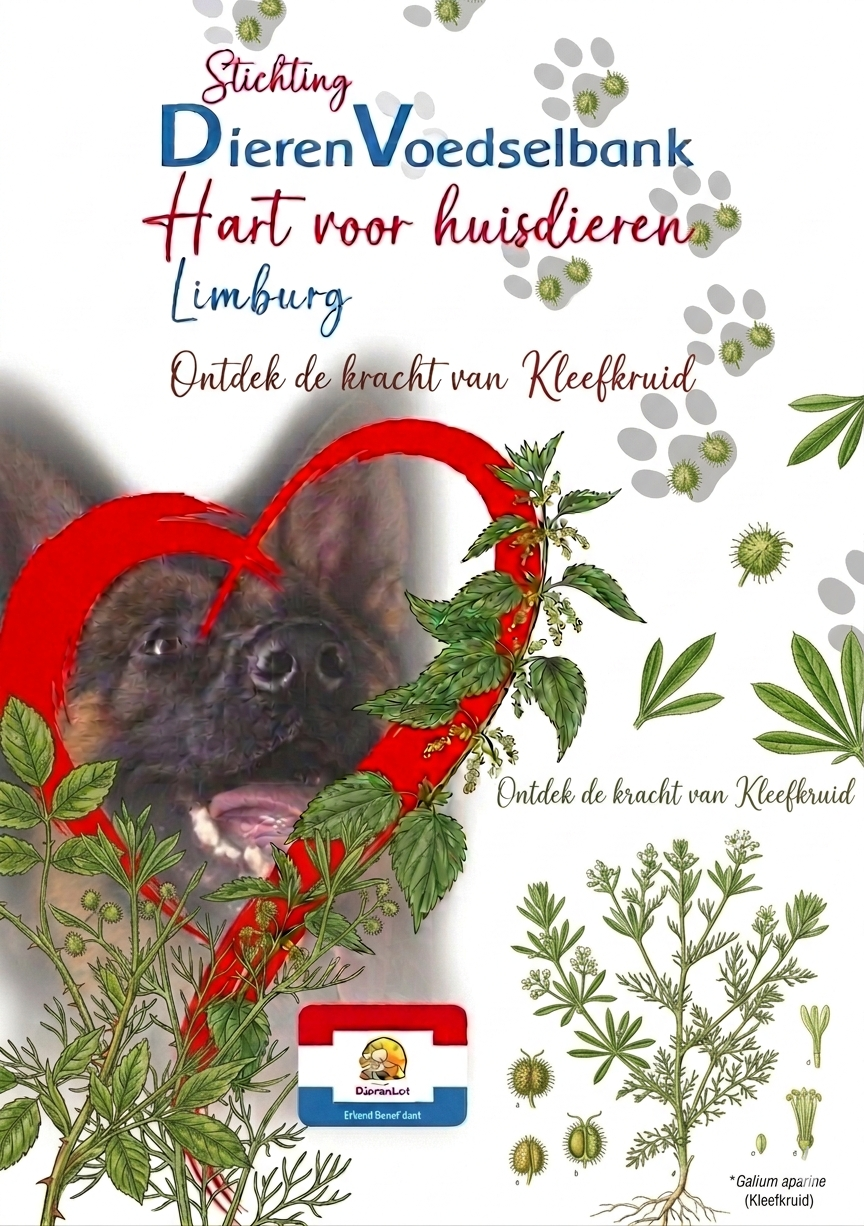 Moedernatuur weetje kleefkruid