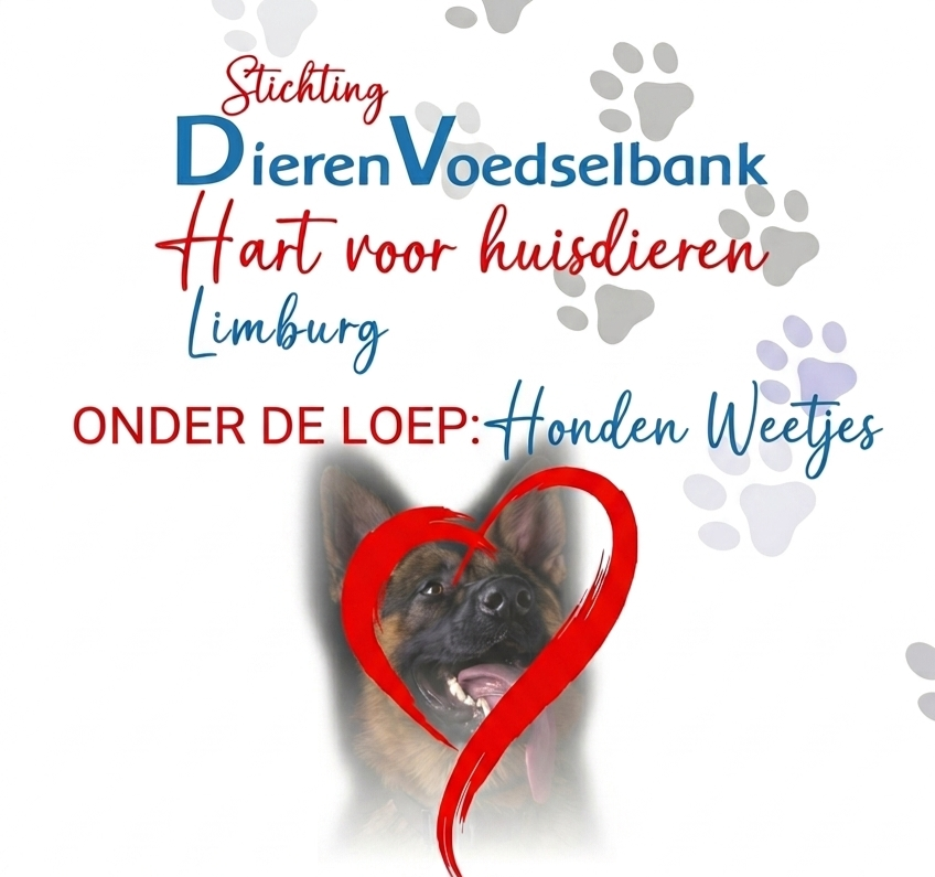 Honden weetjes.....