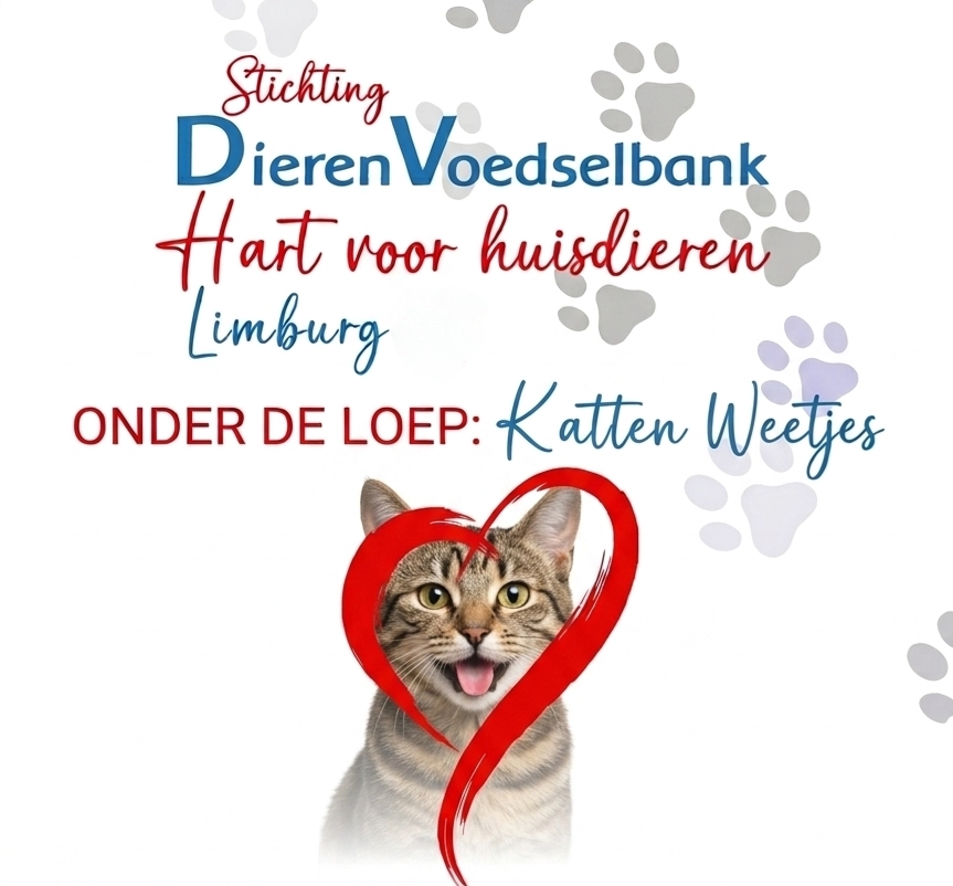 Katten weetjes....